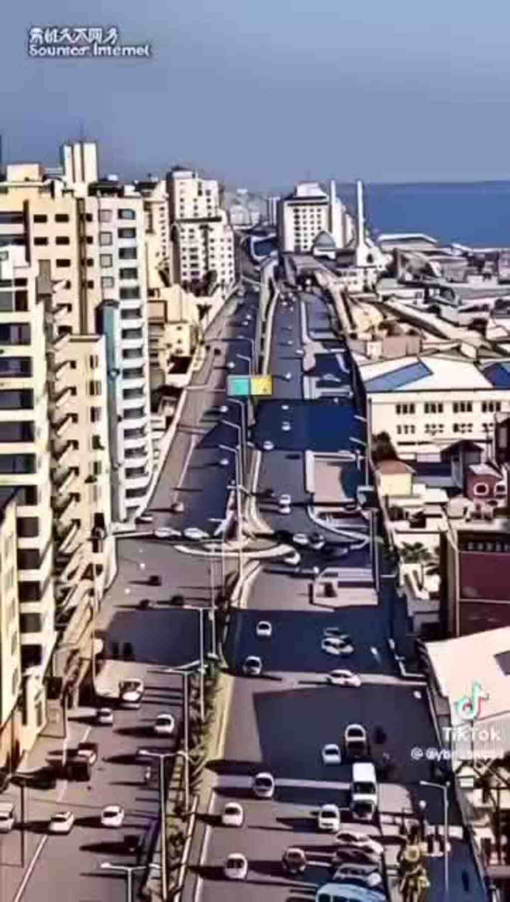 Apoyo al pueblo palestino